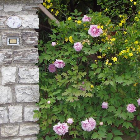 B&B Il Glicine Bedizzole Zewnętrze zdjęcie