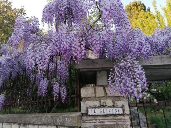 B&B Il Glicine Bedizzole Zewnętrze zdjęcie