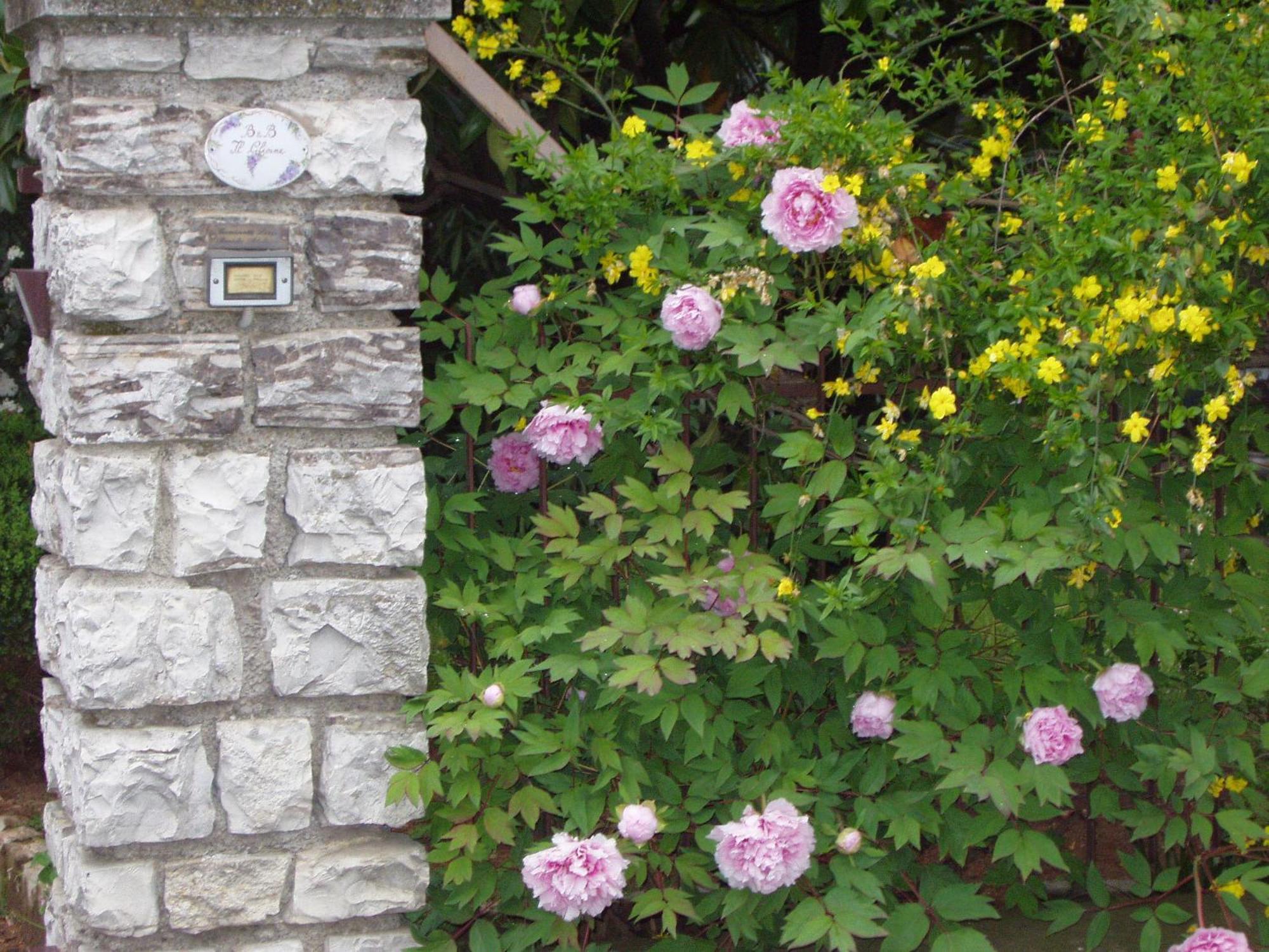 B&B Il Glicine Bedizzole Zewnętrze zdjęcie