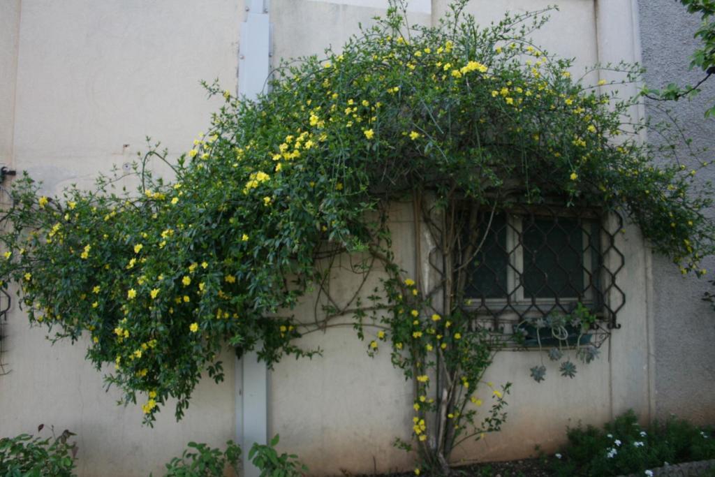 B&B Il Glicine Bedizzole Zewnętrze zdjęcie