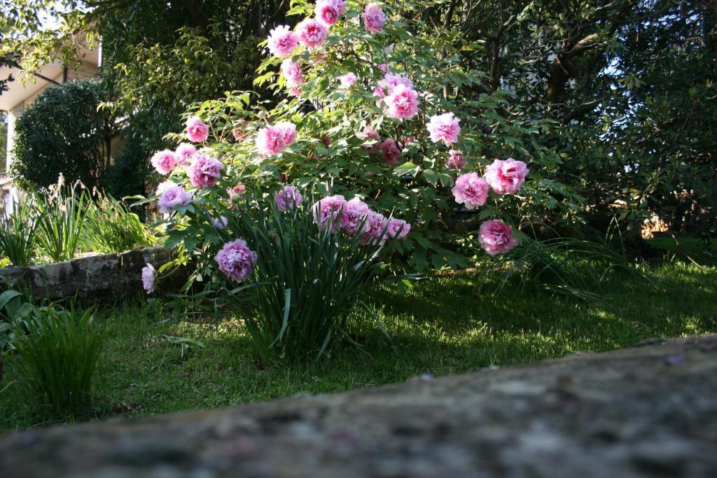 B&B Il Glicine Bedizzole Zewnętrze zdjęcie